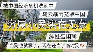 被中国经济危机洗刷，乌云暴雨笼罩，穷屌小民，当狗也就罢了还是临时狗 ？#北京房价  #上海房价 #中国经济 #倒闭  #房产 #买房  #创业 #裁员 #经济危机 #失业 #北京 #经济下行