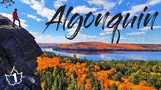 Fall in Algonquin Is Canada's Best Kept Secret! Insane Foliage Roadtrip!