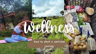 How To Start A Wellness Journey| Tips for Young Professionals| Part 1