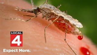 Deadly mosquito-bourne virus found in Michigan