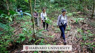 Inside Harvard’s Amazon Rainforest Immersion: A Journey to Understand the Biome's Future