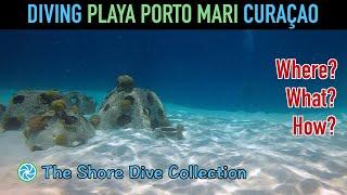 Diving Playa Porto Mari Curaçao | The Shore Dive Collection | TropicLens - 4K