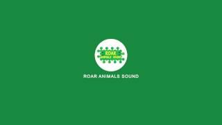 Roar Animals Sound (luciandev)