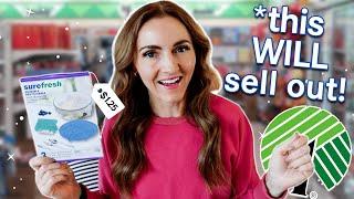 10 Things to Buy at Dollar Tree in October 2024 (Ingenious Finds!)