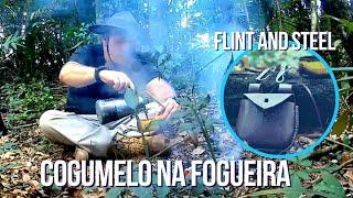 Cogumelo na Fogueira | Flint and Steel | Vivência na Mata de Brejo