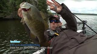 Throwing Braided Line When Fishing a Strike King Caffeine Shad - Facts of Fishing THE SHOW