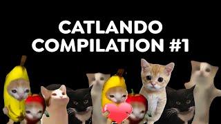 CATLANDO COMPILATION #1  (BANANA CAT, HAPPY CAT, MAXWELL CAT, APPLE CAT, EL GATO)