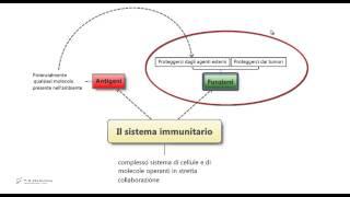 5.6 - Sistema immunitario. Riassunto e schema per il test di medicina.