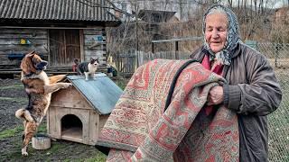 Lonely Life of an 85-year-old Grandmother in the Carpathians - Spring Cleaning in a Remote Village