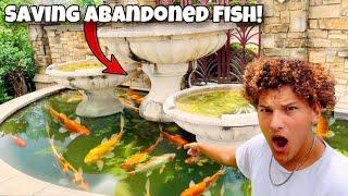 Saving ABANDONED Aquarium FISH From FOUNTAIN POND!