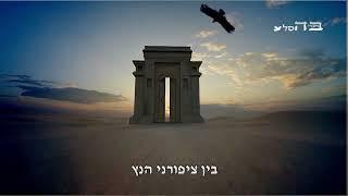 בחגוי הסלע