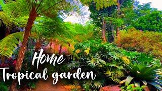 Tropical garden Sideyard Home | garden home landscape idea a place for relaxing