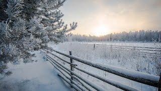 МИР ПРАВОСЛАВИЯ. Жизнь по Заповедям Божиим (в.1)  (от 12.12.2015)