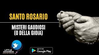 SANTO ROSARIO-Misteri Gaudiosi |HOLY ROSARY IN ITALIAN -Joyful Mysteries|Monday & Saturday Rosary