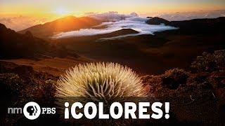 NMPBS ¡COLORES!: New Mexico landscape photographer David Muench