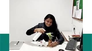 Expert Health Tips by Dr. Sushmita Namdeo to become a better version of yourself in 2021 | CHL