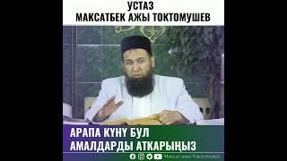 Максат ажы Токтомушев. Арапа куну жонундо.