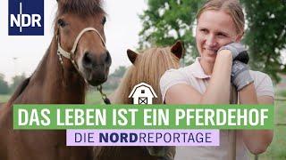 Schuften für den Traum: der eigene Islandpony-Hof | Die Nordreportage | NDR