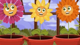 Photosynthesis | Science Songs for Children Learning English | Helen Doron Song Club