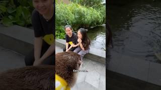 babysit degen #shorts #degen #babysit #otter #foryou