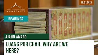 Luang Por Chah, Why Are We Here? | Ajahn Amaro | 16.01.2021