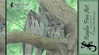 Extended Tutorial: "Two's Company" how to draw Tawny Frogmouth Birds in coloured pencil