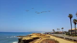 Hot girls on the sunset cliffs video by karl sherman