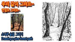 474회) 소나무 숲길 그리기Drawing a pine forest path#티노씨실시간 #그림독학 #여행드로잉 #나무그리기 #소나무그리기