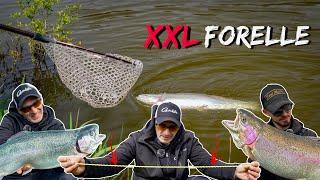 Fisch zu groß für den Kescher  Angeln am Forellensee mit Spezial-Köder?! XXL Forelle filetieren‍