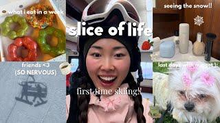 slice of life: snowboarding for the first time, eating w friends, cozy winter morning vlog ₊˚｡⋆⋆｡˚₊