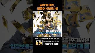 잔금납입 앞두고 경매 취소? 입찰보증금 4천만원은? | 법무법인 효현