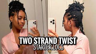 TWO STRAND TWIST STARTER LOCS ON 3C/4A HAIR | ANANDA MONEA