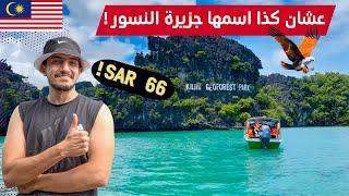 أرخص واشهر رحلة بحرية في لنكاوي  - Mangrove Tour Langkawi