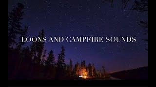 1 Hour Loon Calls With Campfire Sound - Loon Calls For Relaxing; *NO MUSIC*