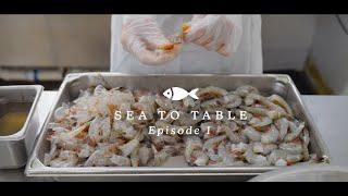 The Outer Edge | Episode 1 - Sea To Table