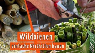 DIY: Eine einfache Nisthilfe für Wildbienen selbst bauen | MDR Garten