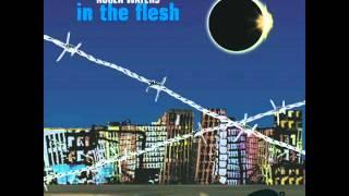 Pink floyd Roger waters 09 brain damage In The Flesh (Live)(CD2