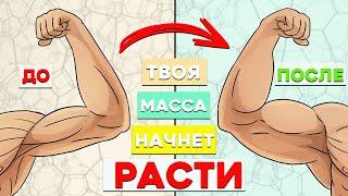 Лучший Совет если не растет Масса (помогает почти всегда)