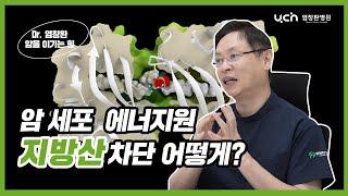 [염창환병원] 암을 키우는 "지방산" ㅣ암세포의 에너지원을 차단하라!ㅣ염창환박사가 말해드립니다.