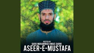 ASEER E MUSTAFA