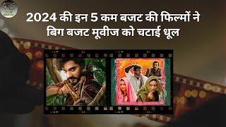 Top 5 Best Low Budget  Hindi Movies 2024 | Top Bollywood Movies 2024 | Filmy Counter