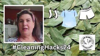 As Seen on IG- Bay Leaves Hack Pt 3 #CleaningHacks24 #doesitwork #whites #stainremover