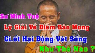 Sư Minh Tuệ Nói Về Chuyện Tâm Linh Và Điềm Chêm Bao Báo Mọng Như Thế nào ?