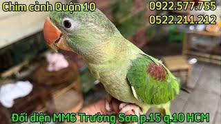 21.06 Chim nói: Xích, Nhồng, Sáo đen