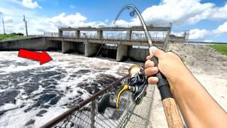 Fishing a BIG Spillway for ANYTHING that Bites!! (NEW Spot)