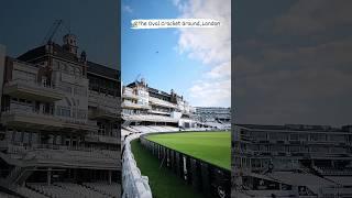 The Oval Cricket Ground || #youtubeshorts