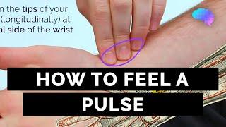 How to Feel a Pulse | Radial & Brachial Pulses - OSCE Guide | UKMLA | CPSA | PLAB 2