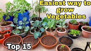 Top 15 Vegetables you can grow in winter season (Home Gardening) (Part-1)