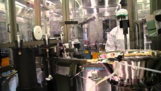 Vaccine production process at BIVI