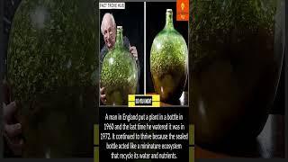 Mind Blowing Plant Ecosystem In a Bottle Experiment from 1960 #facts #shorts #interestingfacts